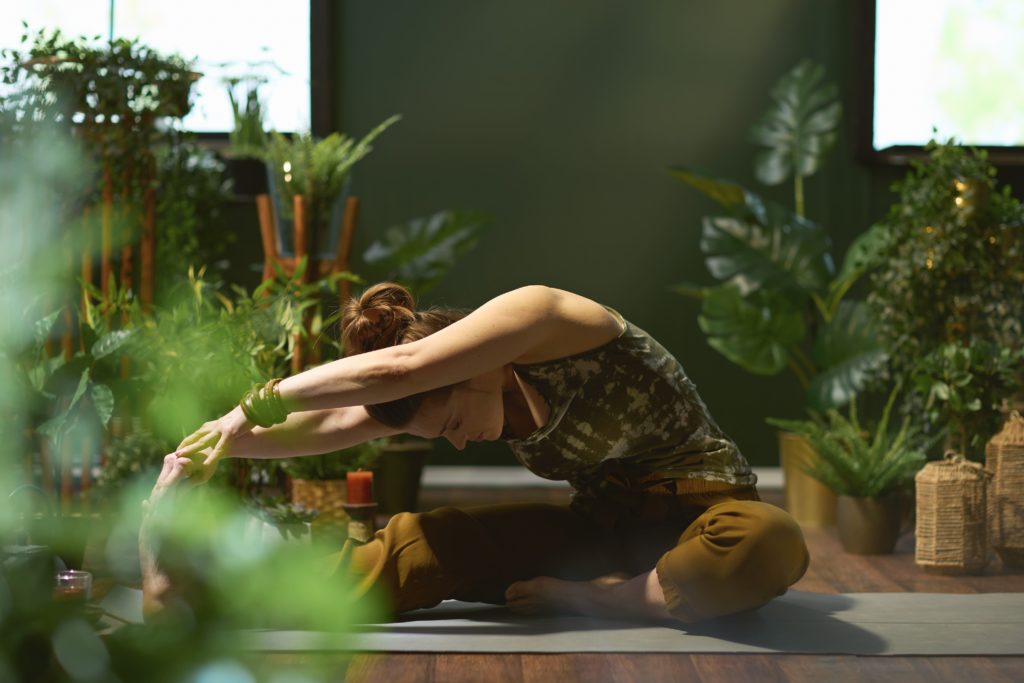 Traditional Yoga Classes