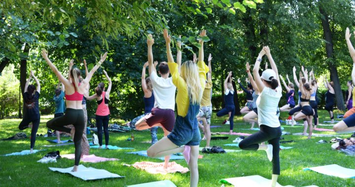 Yoga Festivals